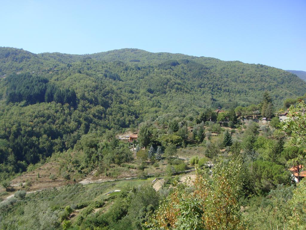 Deimori Lamassa Private Villa With Pool Castel San Niccolo Exterior foto